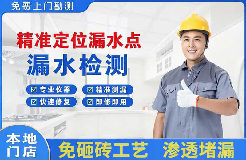 北辰精准测漏点